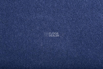 Ковролин Condor Carrera 82 фото 1 | FLOORDEALER